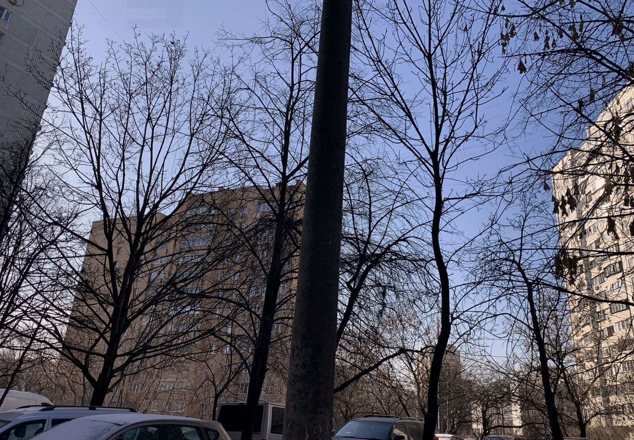 квартира г Москва метро Кузьминки ул Маршала Чуйкова 8 фото 14