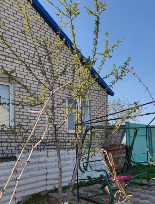 дом г Элиста ул Железнодорожная 9 фото 3