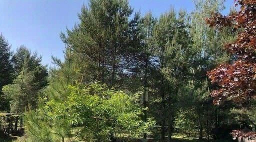 дом г Ярославль р-н Заволжский ул Родничиха 52 фото 21
