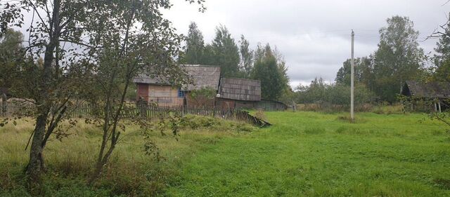 ул Новая Ветка Вышневолоцкий муниципальный округ фото