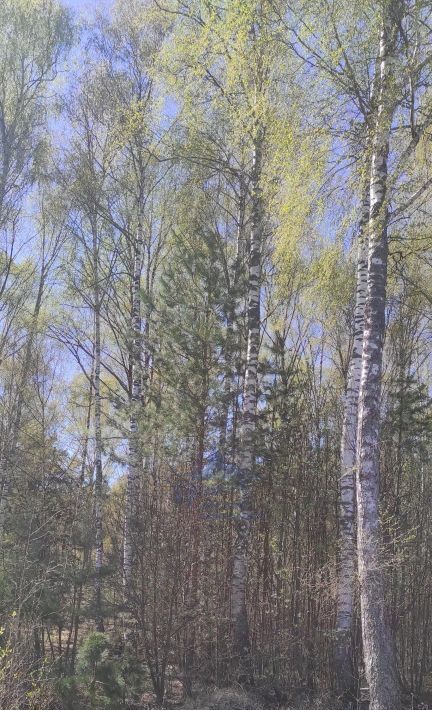 дом р-н Городецкий г Заволжье снт тер.СМУ-2 и Дом Ребенка фото 20