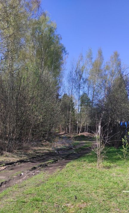 дом р-н Городецкий г Заволжье снт тер.СМУ-2 и Дом Ребенка фото 23
