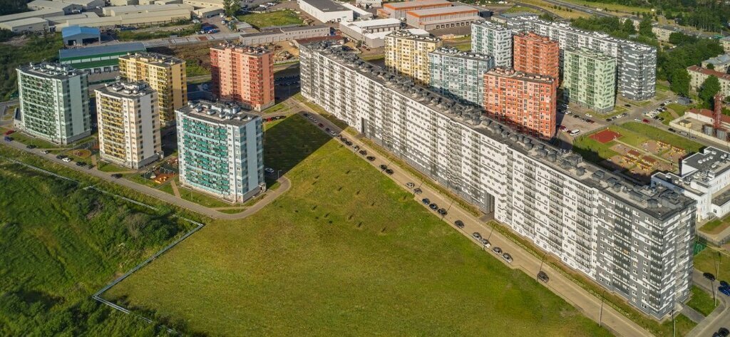 свободного назначения г Санкт-Петербург метро Академическая пр-кт Пискарёвский 145к/3 фото 3