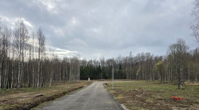 ТиНАО Ярцево лайф кп фото