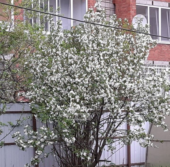 дом г Сыктывкар ул Огородная 35 фото 45