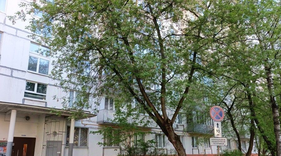квартира г Москва метро Партизанская ул Фортунатовская 17 фото 18