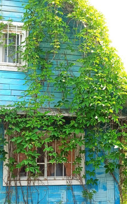 дом г Глазов снт Труд пр-д Штанигуртский фото 7