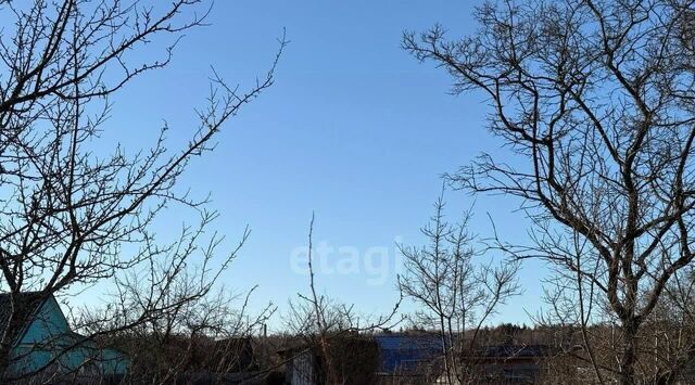 Алексин городской округ фото