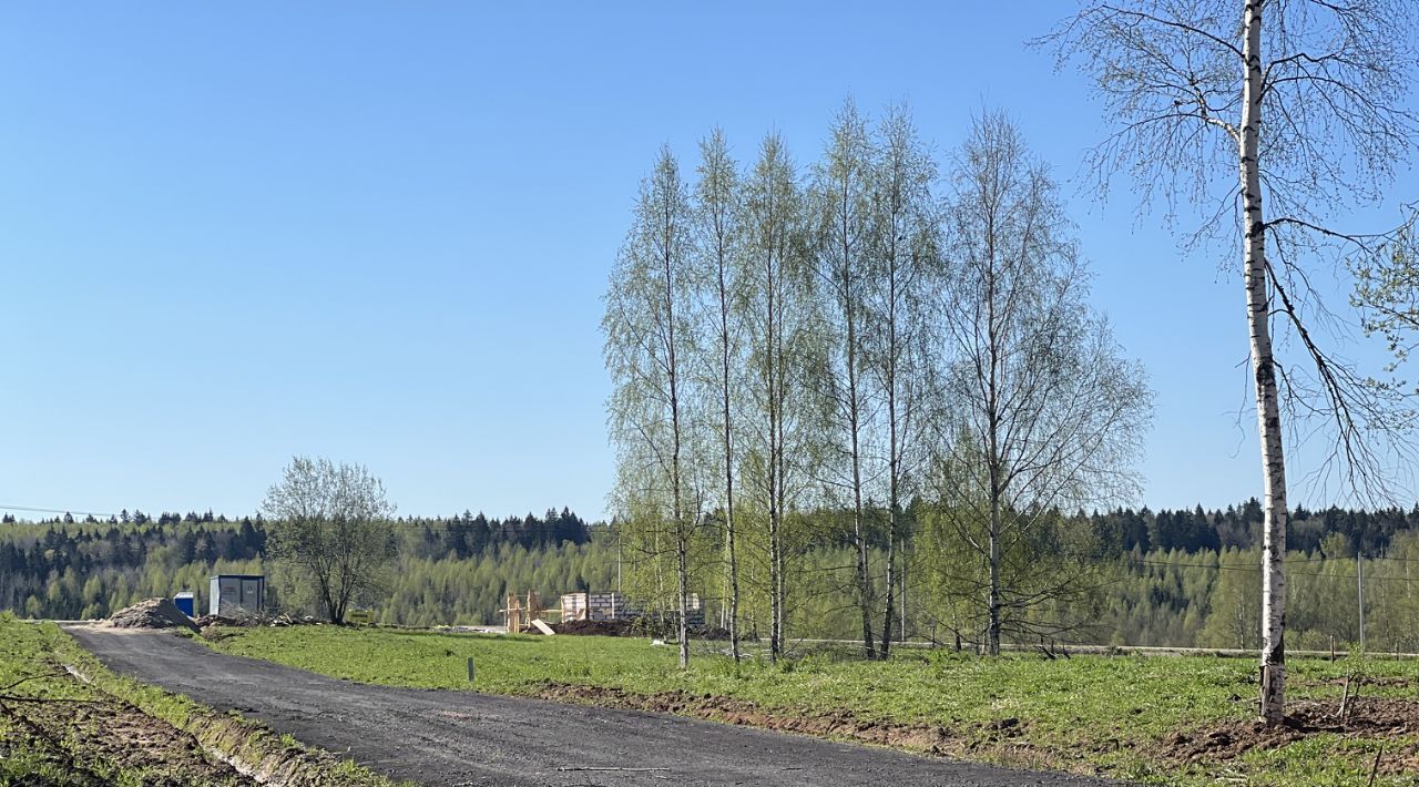 земля городской округ Сергиево-Посадский г Краснозаводск «Холмогоры» фото 7