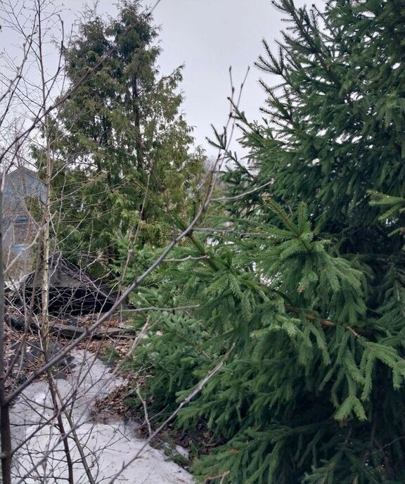 дом г Нижний Новгород п Новинки сад Огонек Пролетарская 93 фото 3