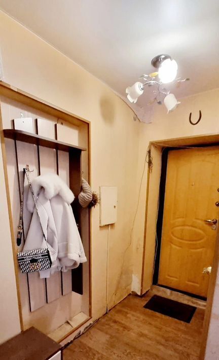 квартира г Екатеринбург Автовокзал ул Чапаева 53 фото 4