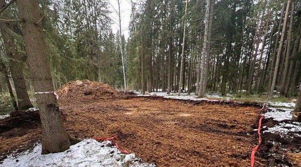 земля г Зеленогорск Курортный ул Танкистов 12ч фото 1