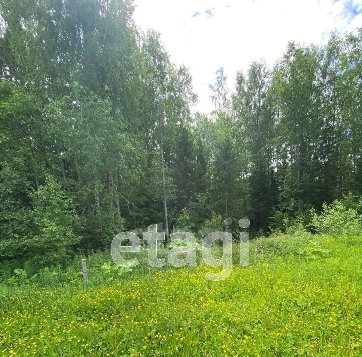 земля г Сыктывкар Максаковское тер., Бытовик СНТ, 108 фото 1