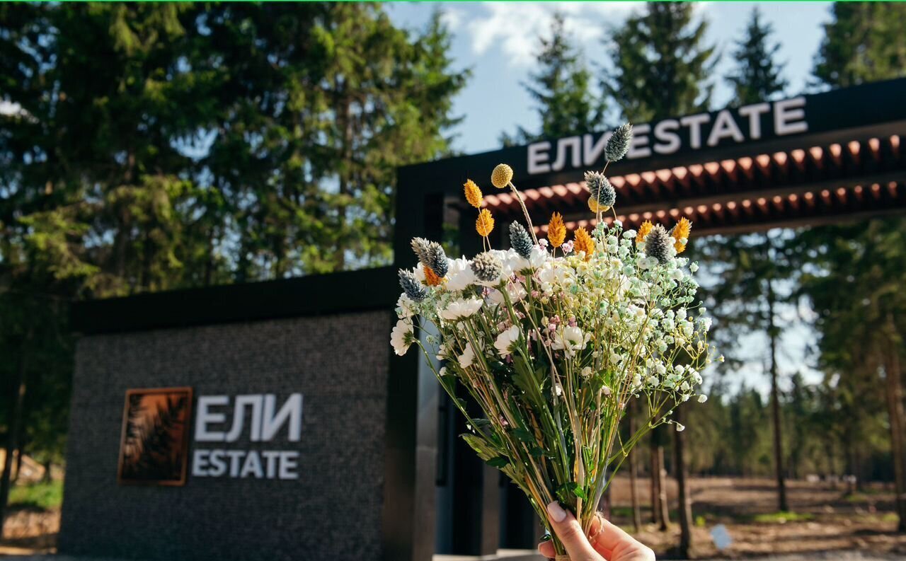 земля г Клин 54 км, эко-посёлок Ели эстейт, Новопетровское, Ленинградское шоссе фото 18