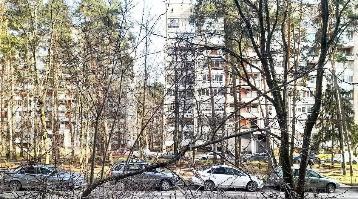 квартира г Протвино ул Дружбы 14 Серпухов городской округ фото 17