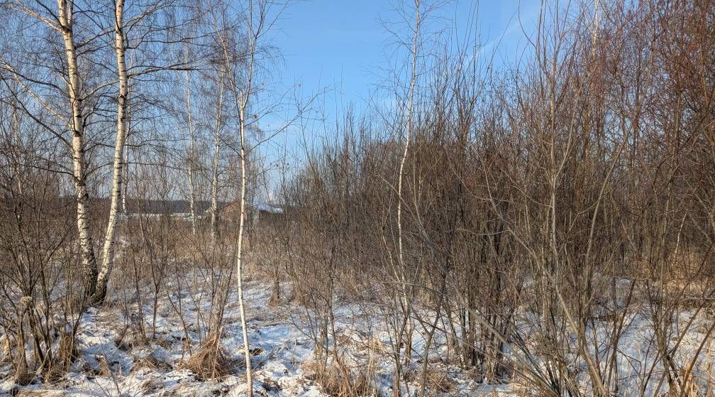 офис г Наро-Фоминск р-н Центральный Щелково фото 1