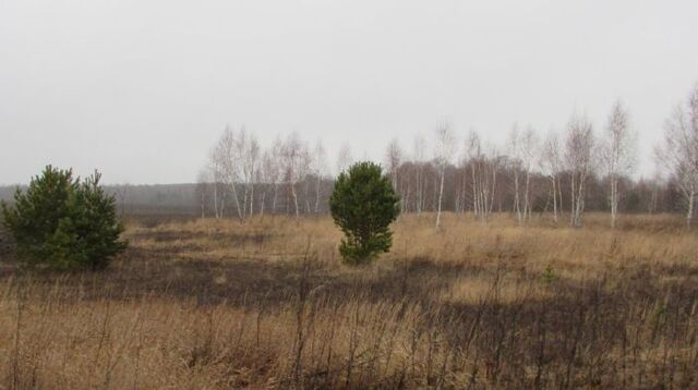 Коломна городской округ фото