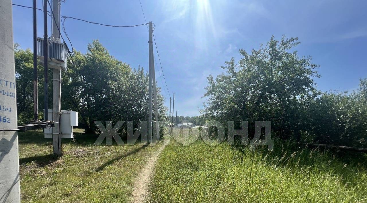земля г Барнаул п Мохнатушка ул Первомайская фото 1