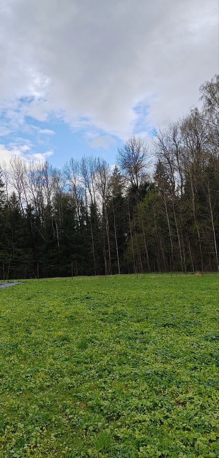 земля г Истра с Надеждино 67 км, городской округ Истра, Новопетровское, Волоколамское шоссе фото 3