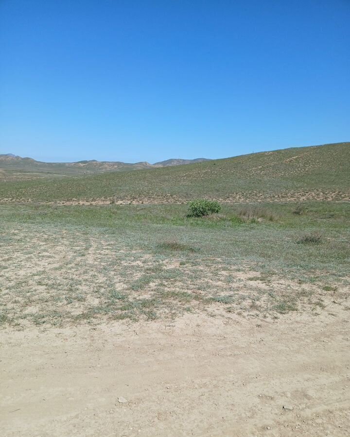земля г Судак с Миндальное фото 1