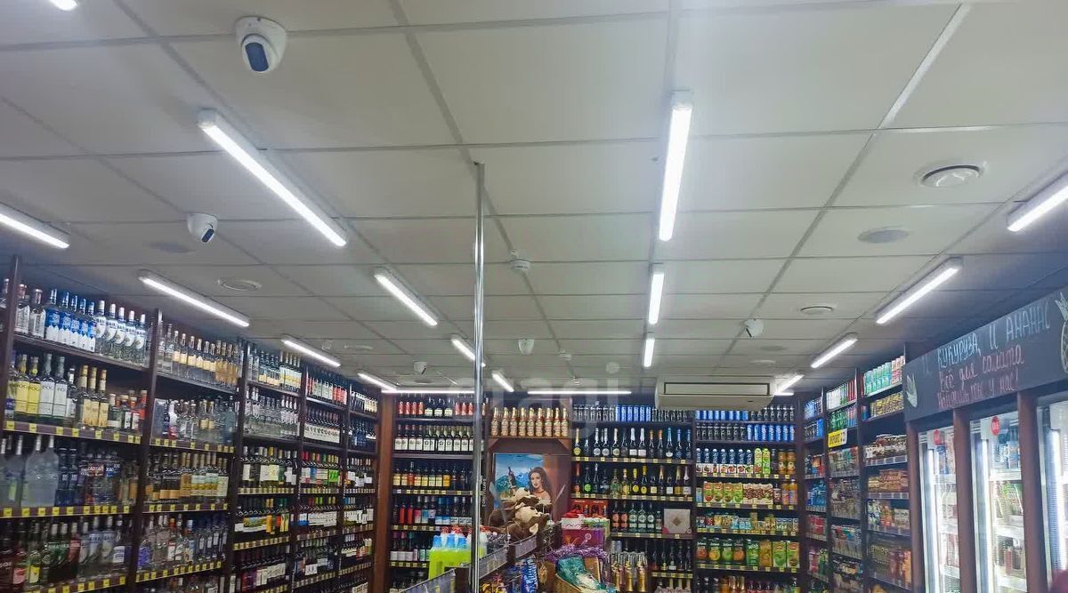 торговое помещение г Южноуральск ул Троицкая 15е фото 9