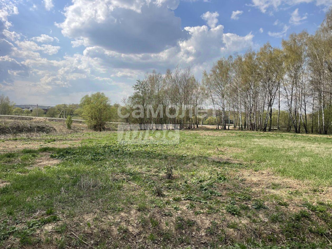 земля г Домодедово п Михнево Домодедово, Петровская ул., Шишкино, 32 фото 3