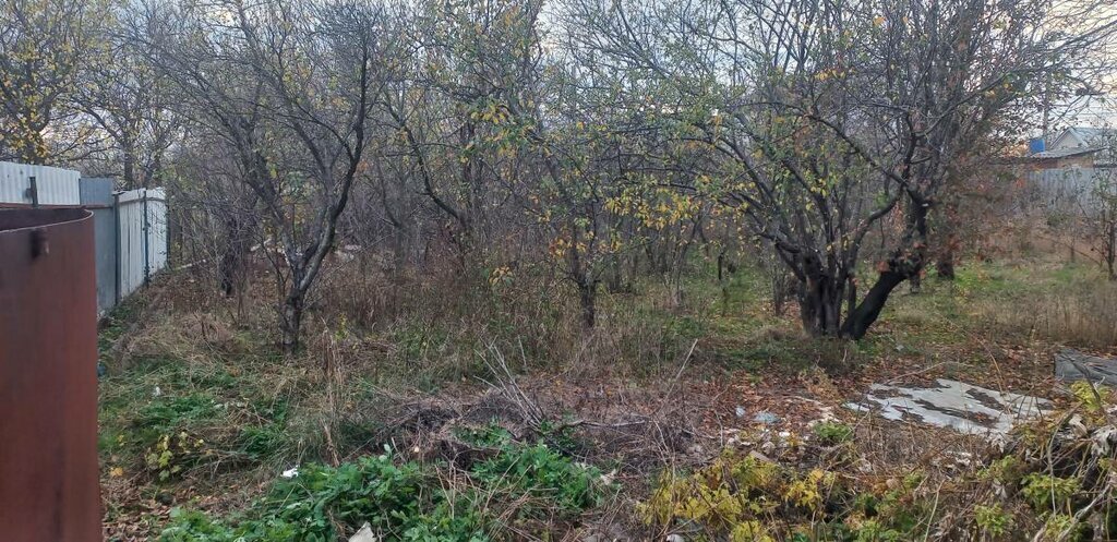 земля г Каменск-Шахтинский снт Ромашка ул 4-я Линия фото 4