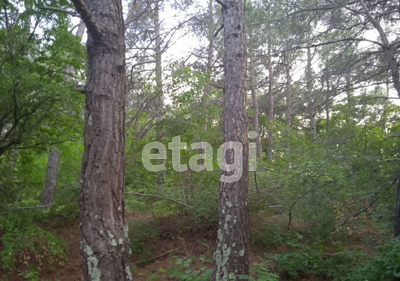 земля г Геленджик фото 3