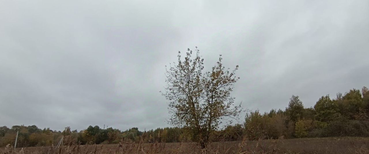 земля г Шатура фото 1