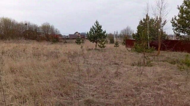 земля с Пестриково Коломна городской округ фото