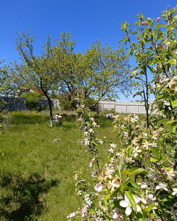 земля г Феодосия снт тер.Светоч ул Шафрановая фото 1