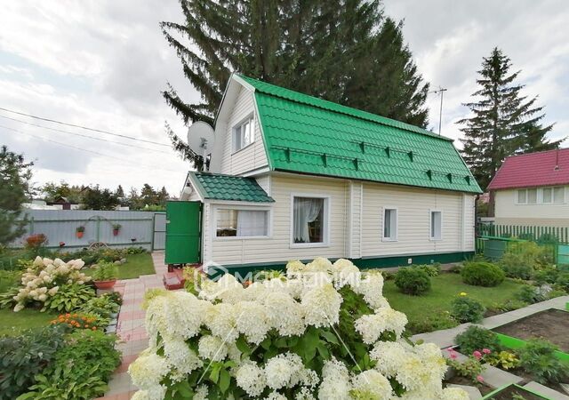 230, Колывань фото