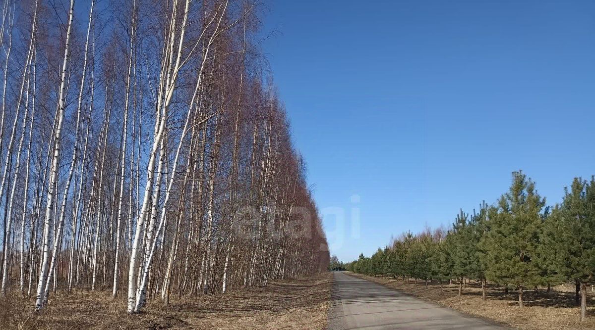 земля г Кострома фото 6