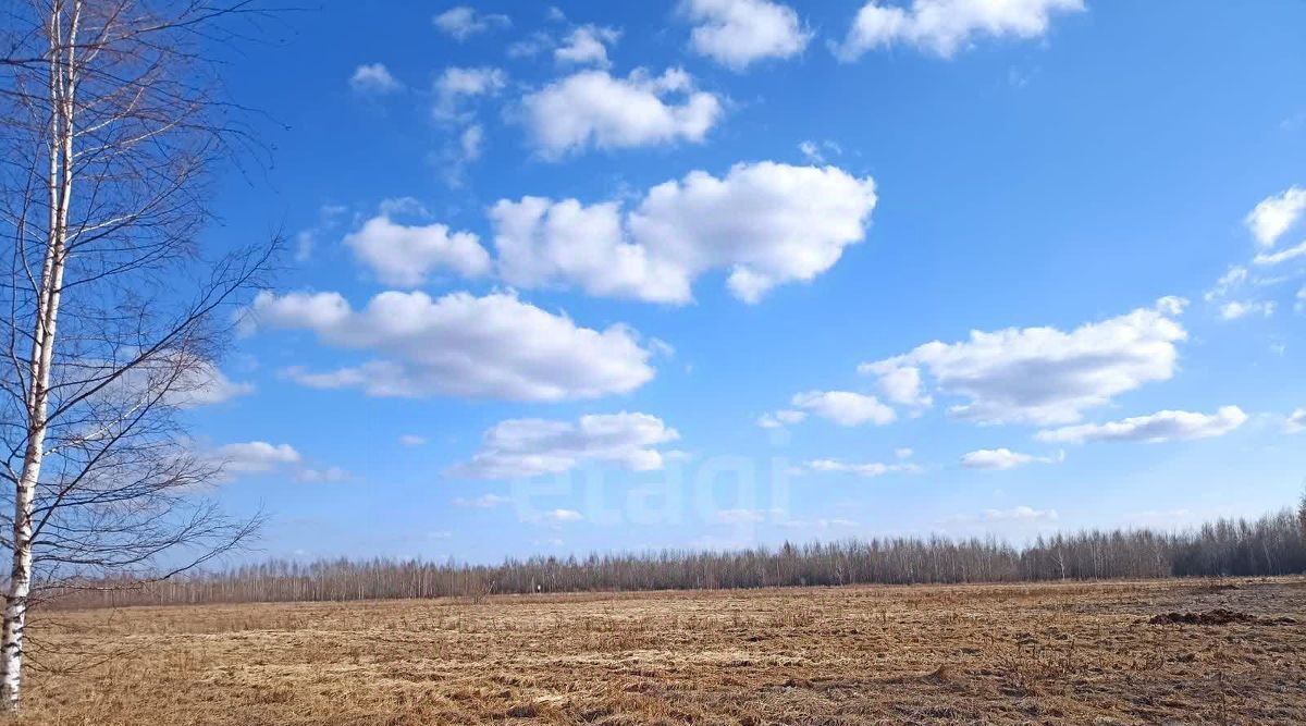 земля г Кострома фото 6