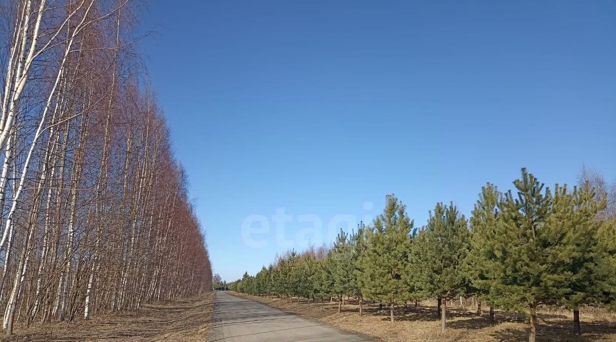 земля г Кострома фото 15