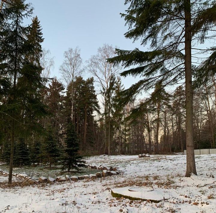 земля г Санкт-Петербург п Репино ул Репина р-н Курортный фото 2
