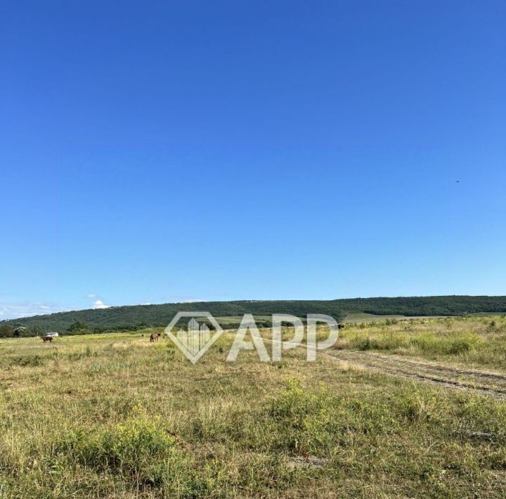 офис г Новороссийск х Семигорский фото 11