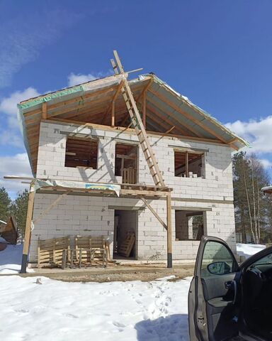д Васютино 56 км, 2, Электрогорск, Горьковское шоссе, СНТ Кулиги-4 фото