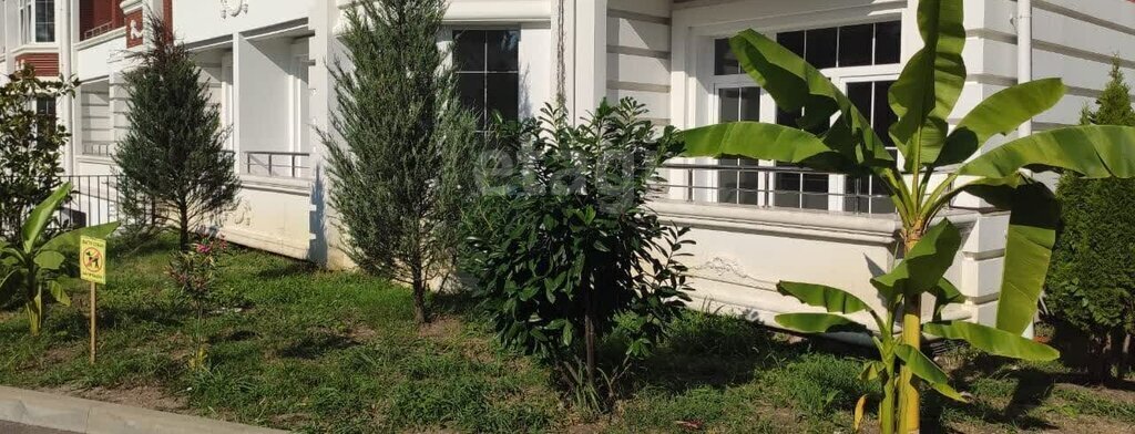 квартира г Сочи ул Ленина 290/6 фото 5