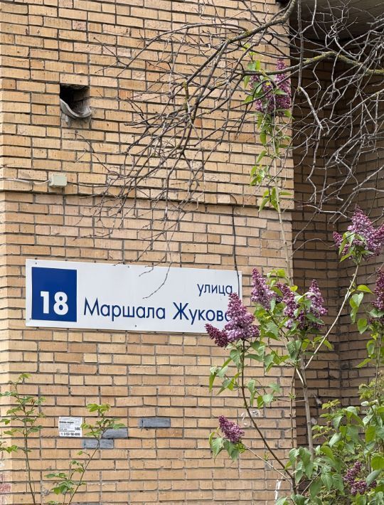 квартира г Тольятти р-н Автозаводский ул Маршала Жукова 18 фото 18