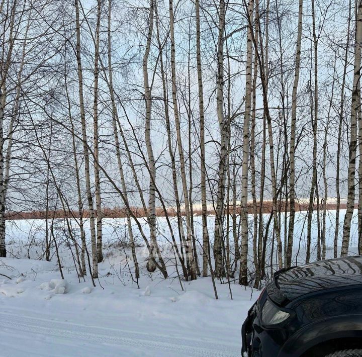 земля г Бор д. Приклонное фото 4