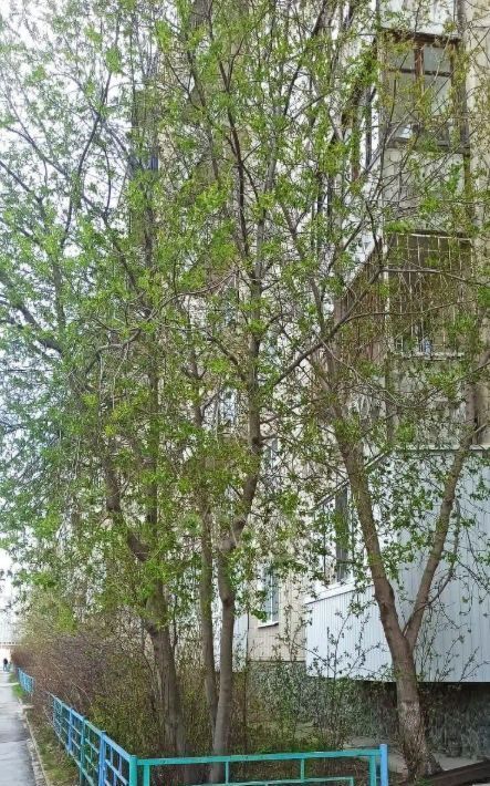 квартира г Екатеринбург Геологическая ул Серафимы Дерябиной 30 фото 11