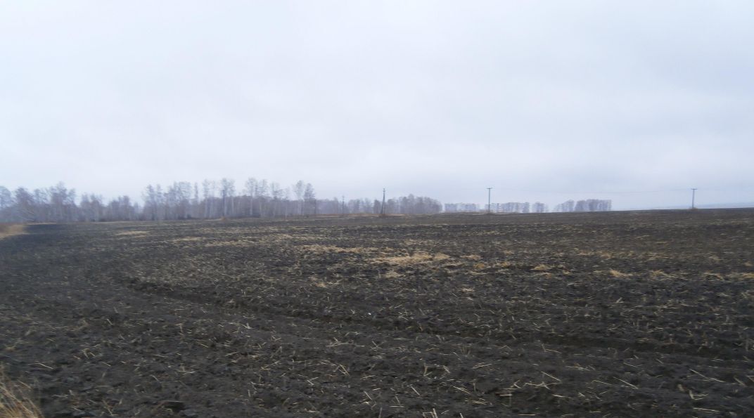офис г Нижний Новгород р-н Нижегородский ЖК Маяк фото 1