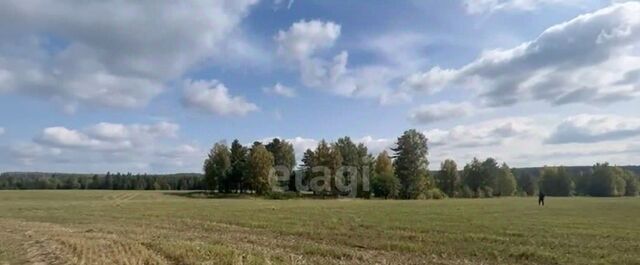ул Ленина Дружининское городское поселение фото