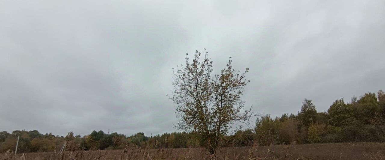 земля г Шатура фото 1