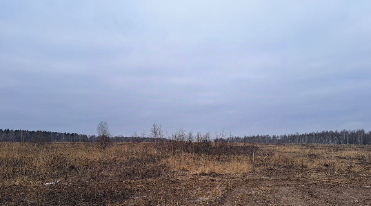 земля г Кашира Ожерелье мкр фото 1