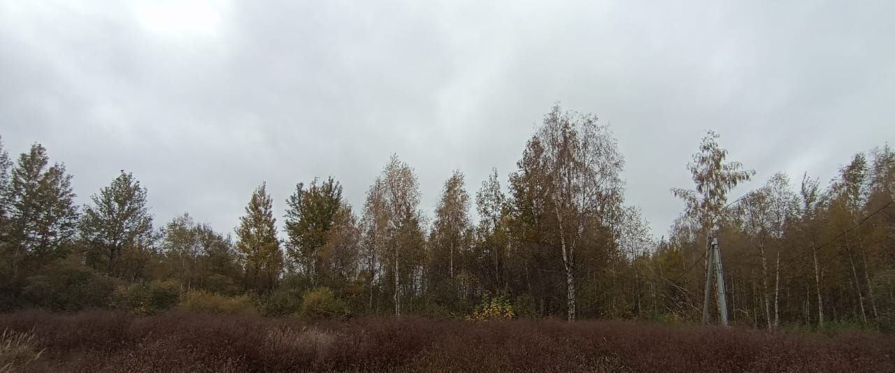 земля г Шатура фото 3