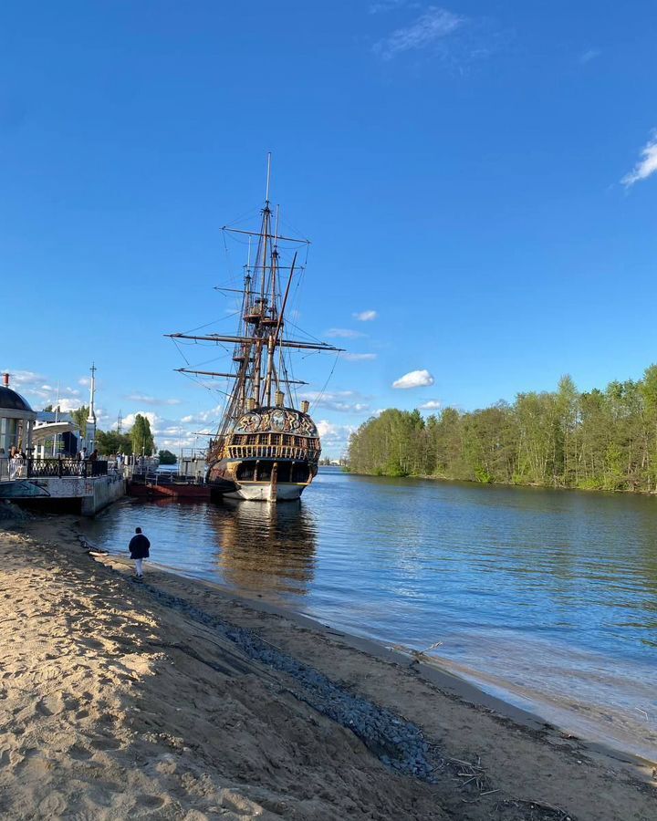 квартира г Воронеж р-н Центральный пер Бауманский 15 фото 22