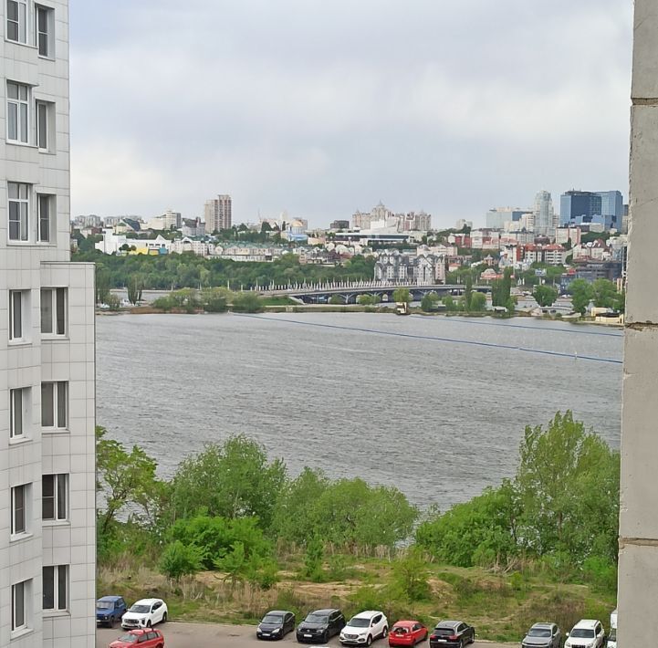 квартира г Воронеж р-н Левобережный наб Спортивная 13 фото 9