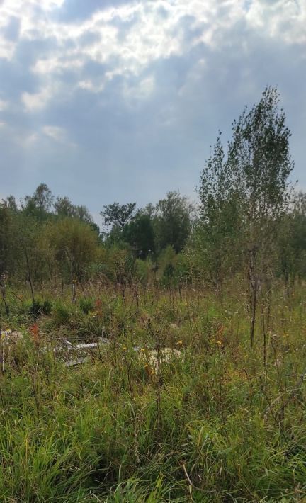 земля г Томск п Родионово р-н Советский ул. Светлая, 2 фото 1